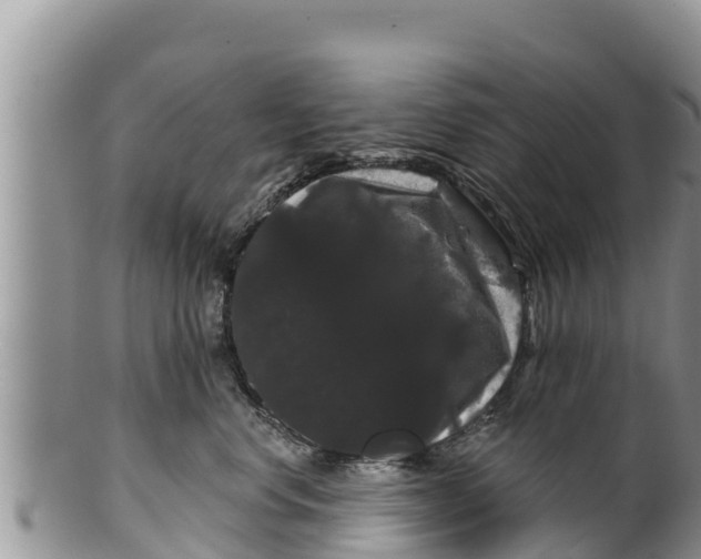 X0000100200668200806201422