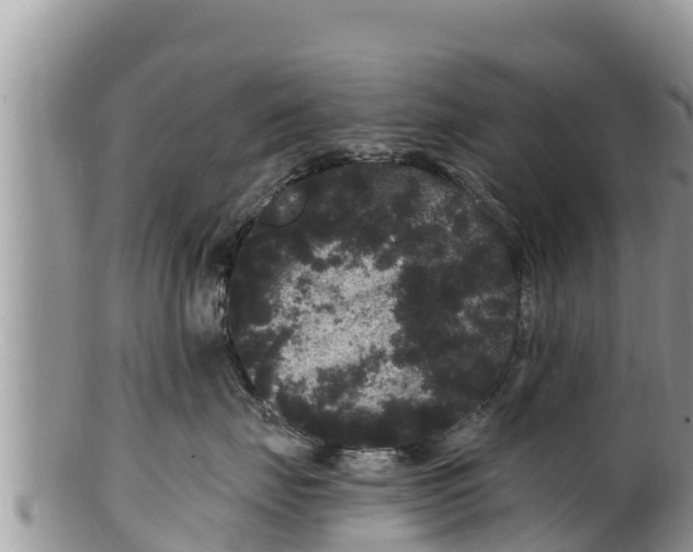 X0000100200671200806201422