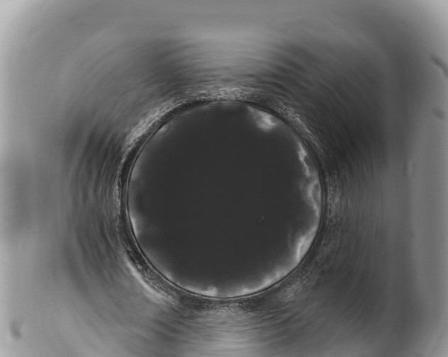 X0000100200674200806201422