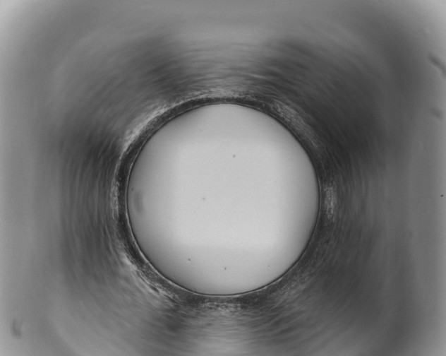 X0000100200676200806201422