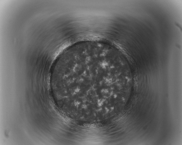 X0000100200679200806201422