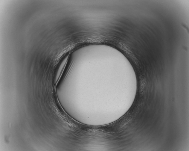 X0000100200681200806201421