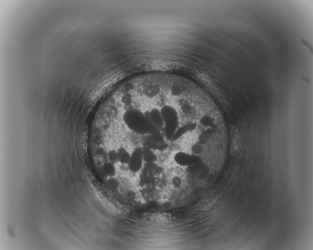 X0000100200683200806201421