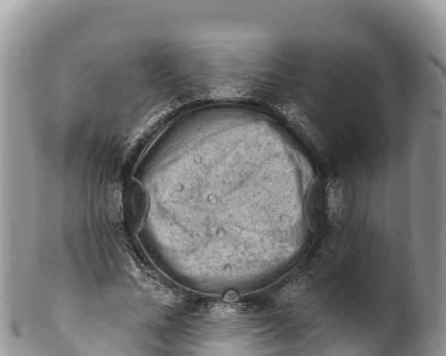 X0000100200684200806201421