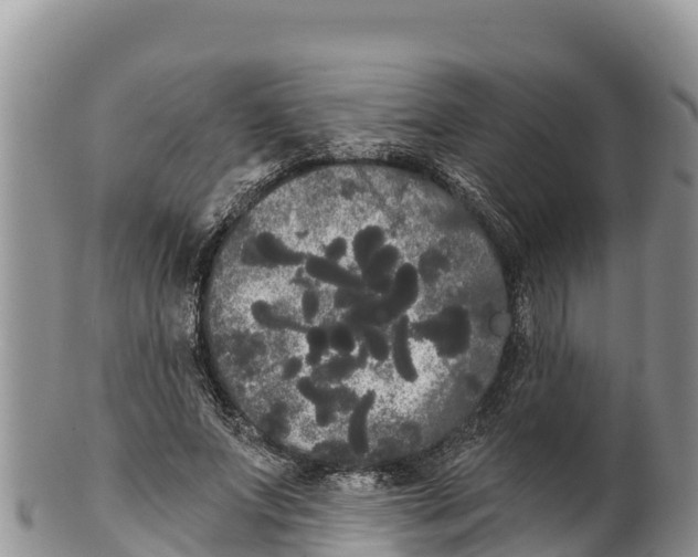 X0000100200687200806201421