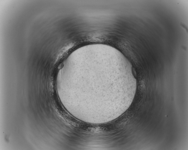 X0000100200688200806201421