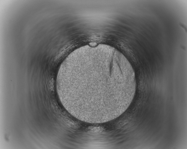 X0000100200689200806201421