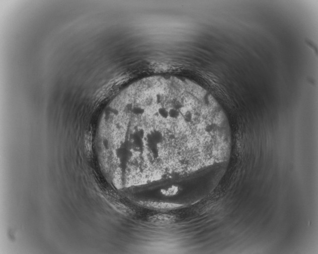 X0000100200691200806201421