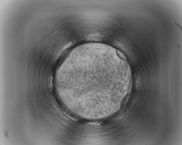 X0000100200692200806201421