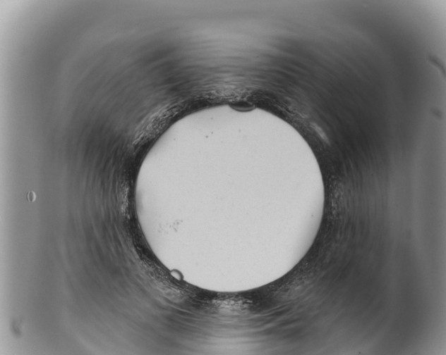 X0000100200693200806201421