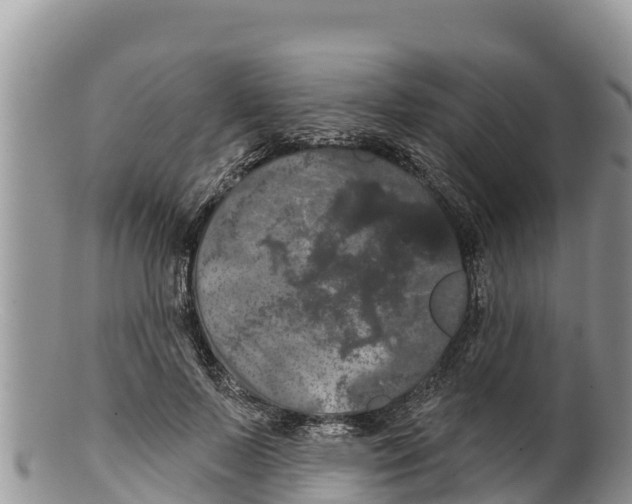 X0000100200695200806201421