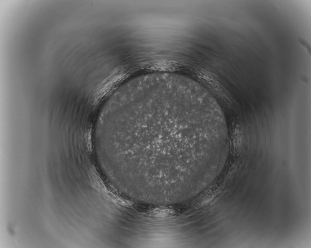 X0000100200696200806201421