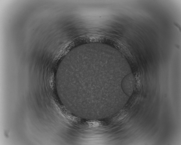 X0000100200698200806201421