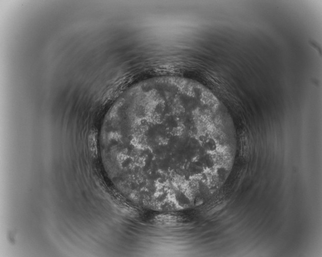 X0000100200699200806201421