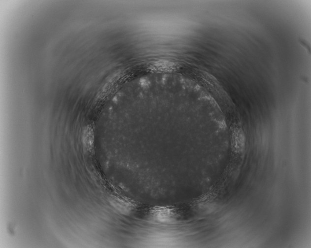 X0000100200701200806201421