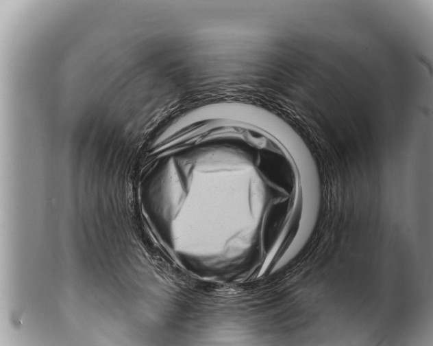 X0000100200704200806201421