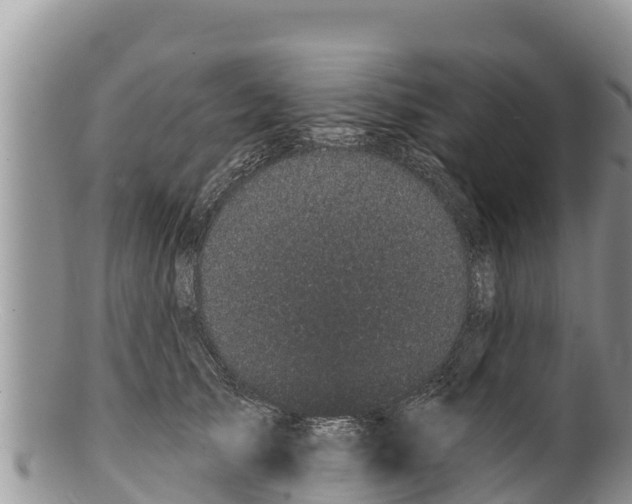 X0000100200705200806201421