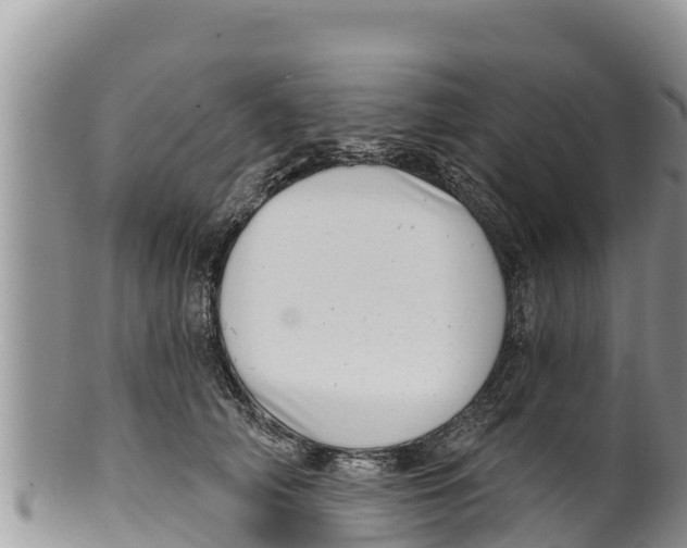 X0000100200706200806201421