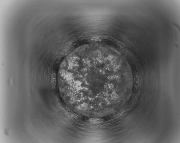 X0000100200707200806201421