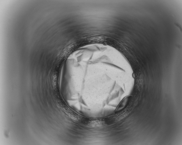 X0000100200708200806201421