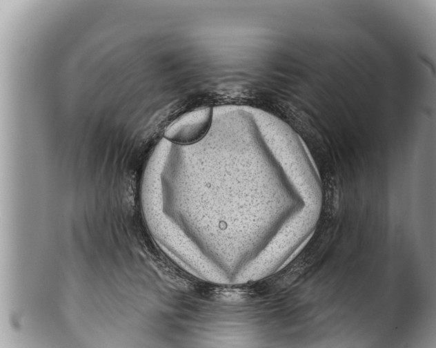 X0000100200710200806201421