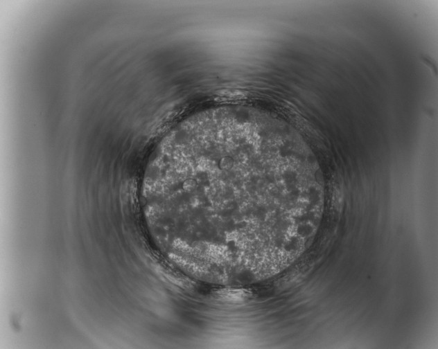 X0000100200711200806201421