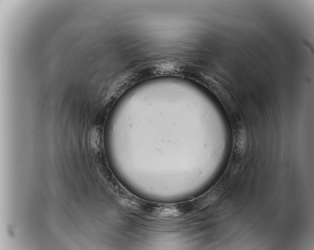 X0000100200715200806201421