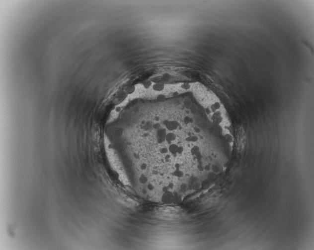 X0000100200716200806201421