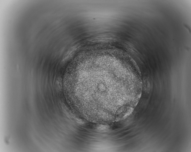 X0000100200718200806201421