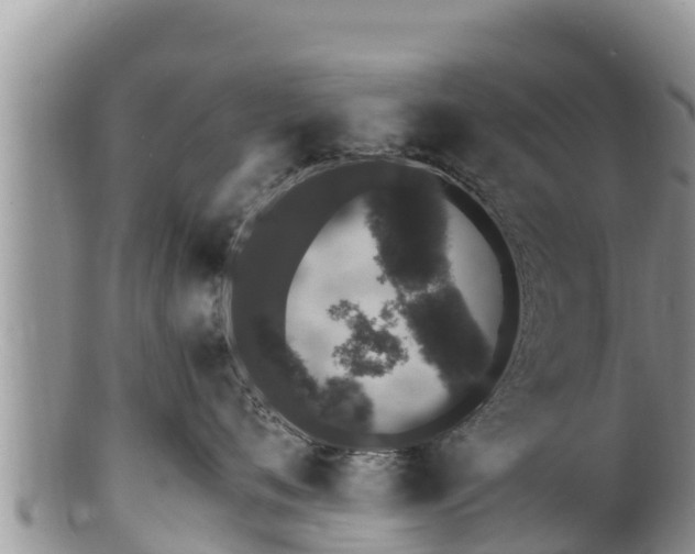 X0000100200720200806201421