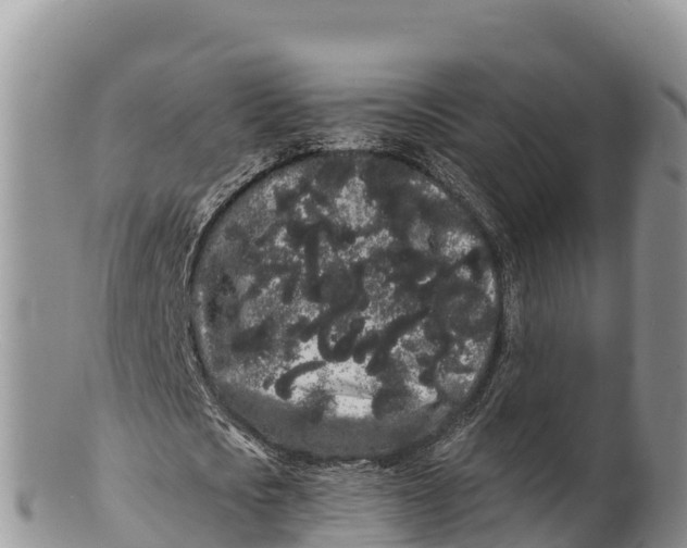 X0000100200721200806201420