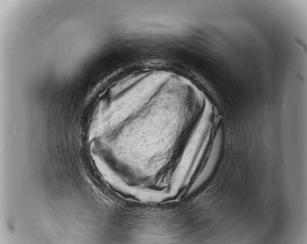 X0000100200722200806201420