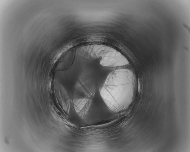 X0000100200723200806201420