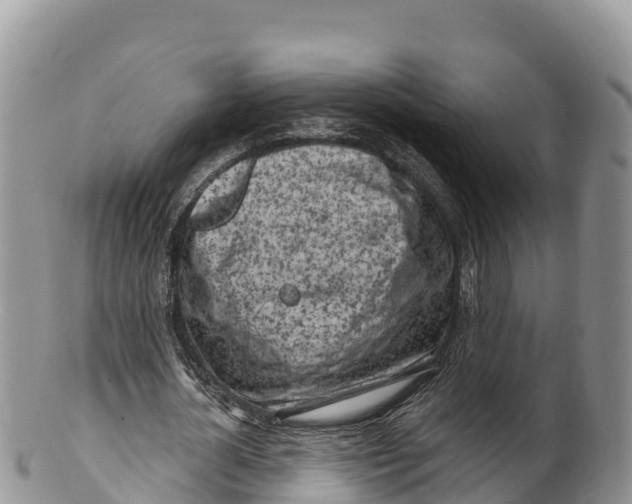 X0000100200724200806201420