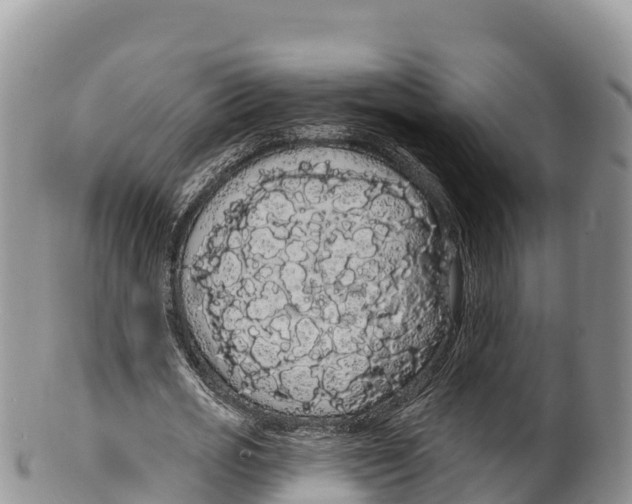 X0000100200725200806201420