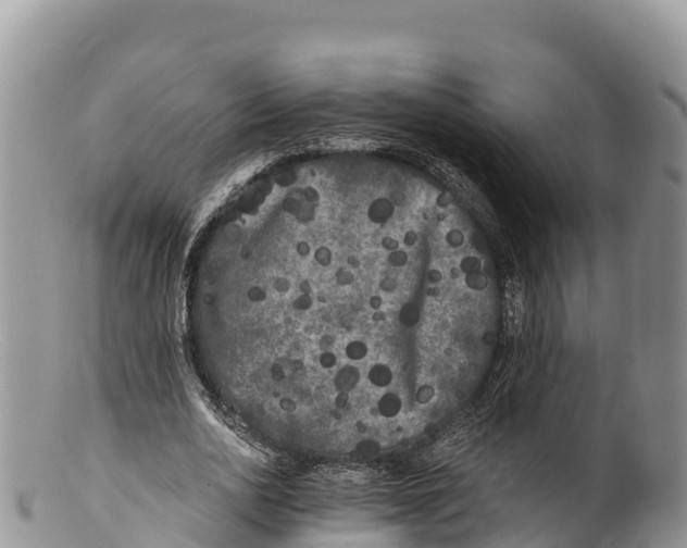 X0000100200726200806201420