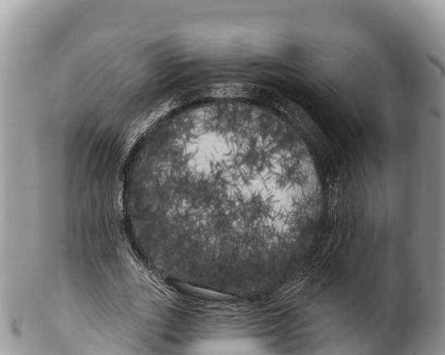 X0000100200727200806201420