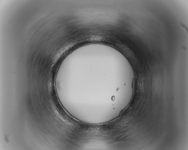 X0000100200728200806201420