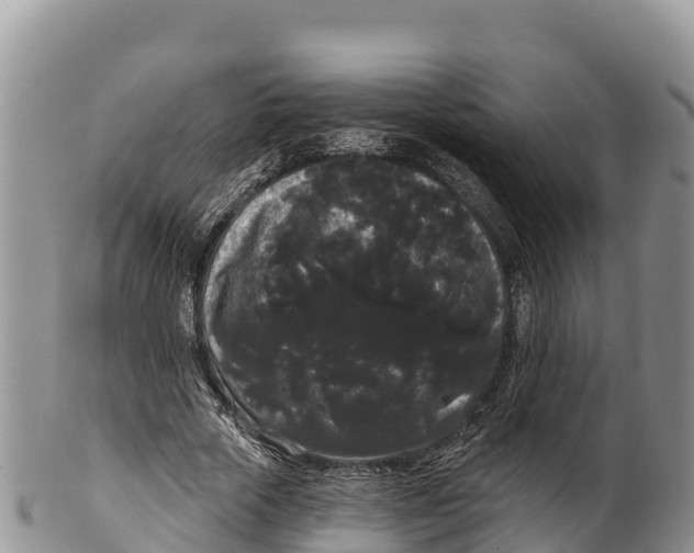 X0000100200729200806201420