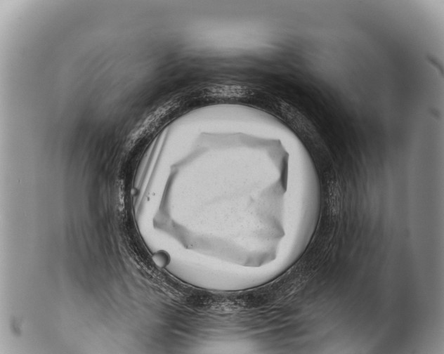 X0000100200731200806201420