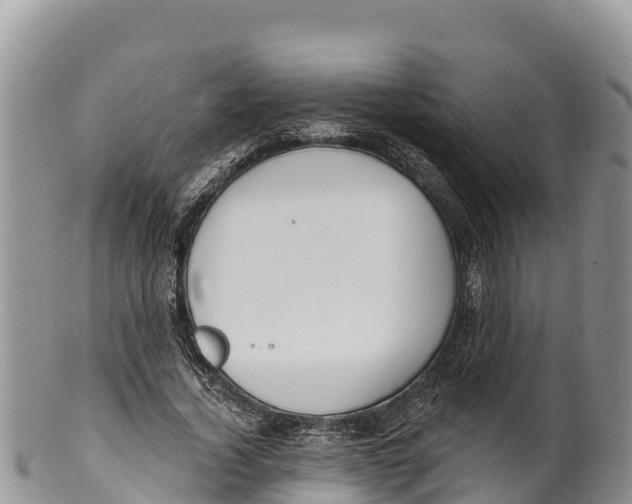 X0000100200732200806201420