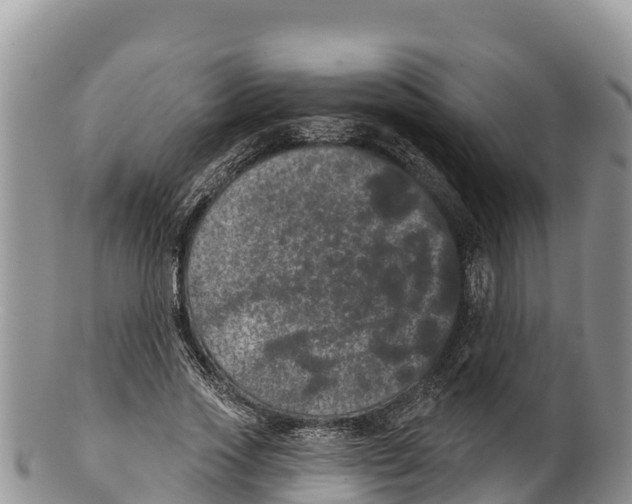 X0000100200733200806201420