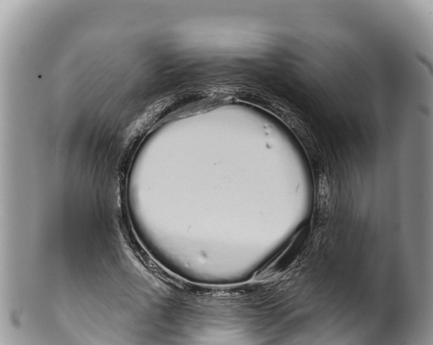 X0000100200734200806201420