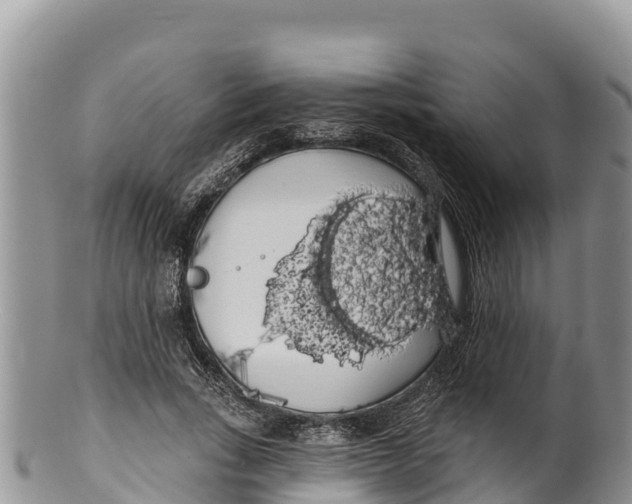 X0000100200735200806201420