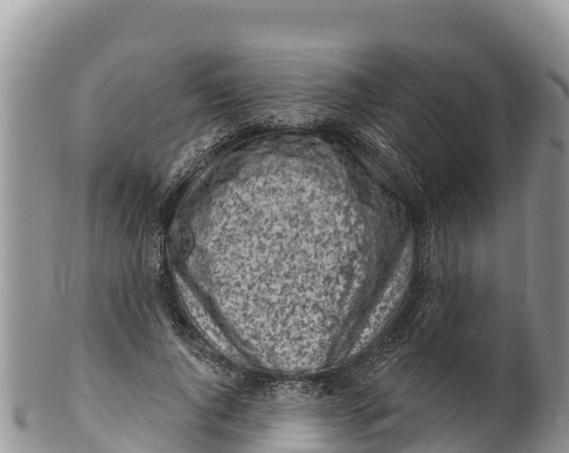 X0000100200736200806201420