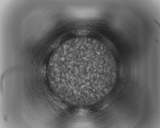 X0000100200737200806201420