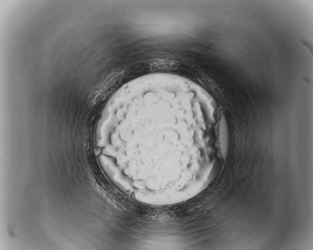 X0000100200738200806201420