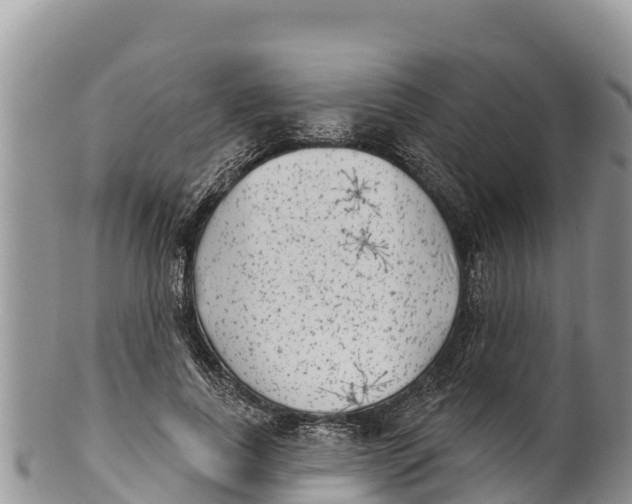 X0000100200739200806201420