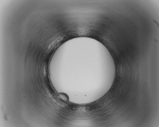 X0000100200740200806201421