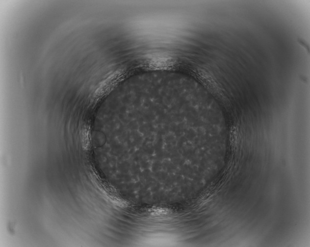 X0000100200741200806201421